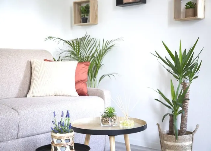 L'authentique *studio *parking Prive* *wifi*calme Apartment Lourdes